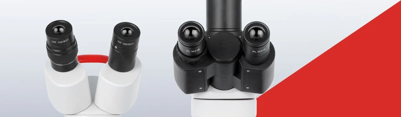 Close-up of AmScope stereo microscope eyepieces