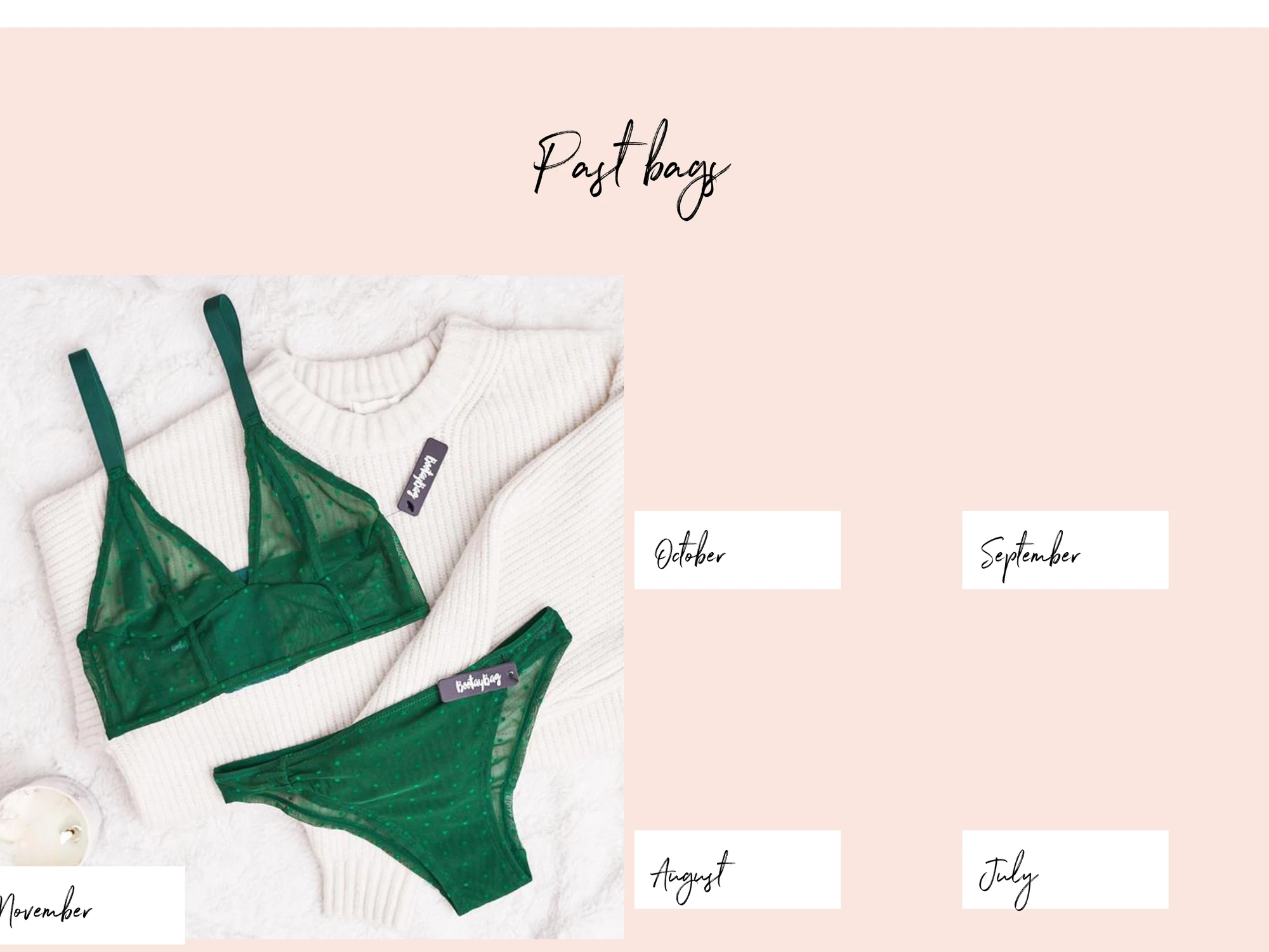 BootayBag Past bags section on desktop, with a green mesh bralette set on a white sweater and month labels