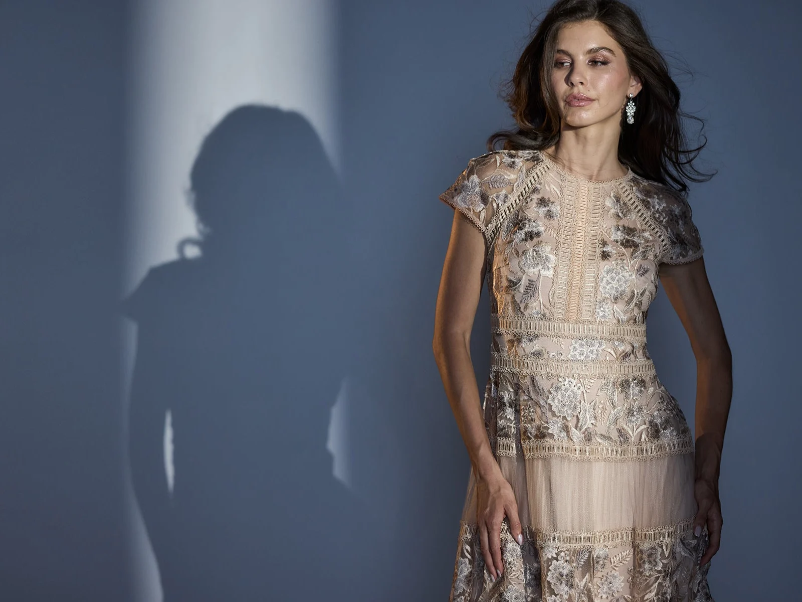 Model in an embroidered pebble-toned Tadashi Shoji dress against a blue-grey wall with her shadow behind her