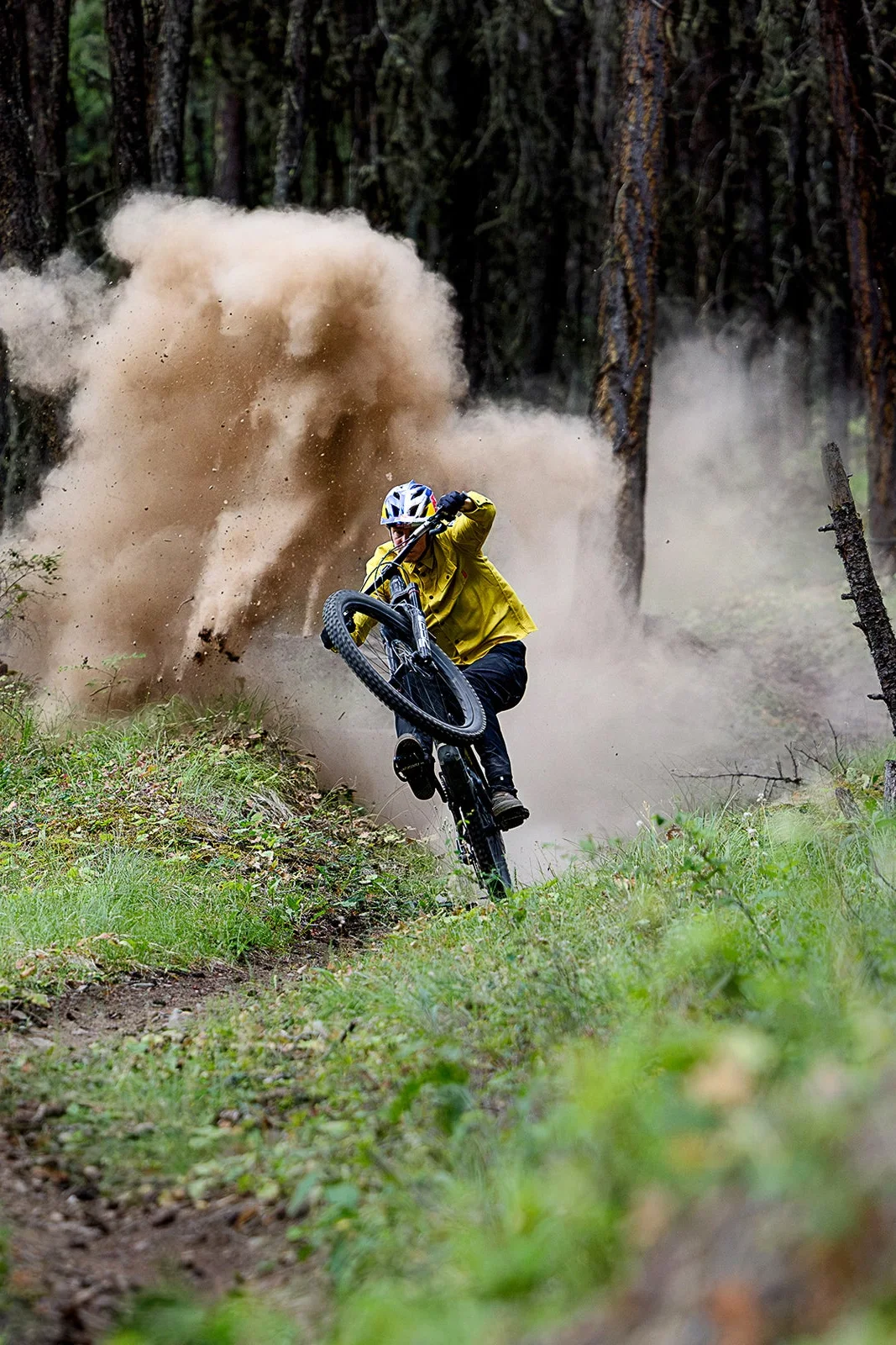 Mountain biker in a yellow jersey throwing up a cloud of dust on a forest trail